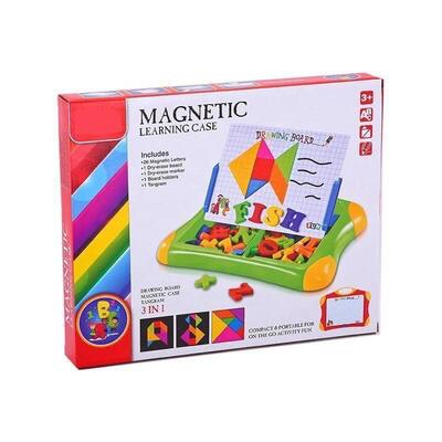 Magnetic Learning Case